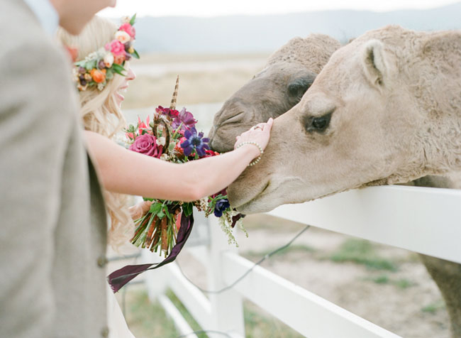 The-Venue-at-Crooked-Willow-Farms-wedding-13 The Venue at Crooked Willow Farms