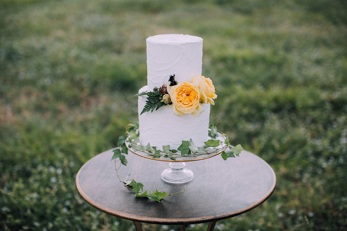 vintagetealandgoldshoot-11 Social House