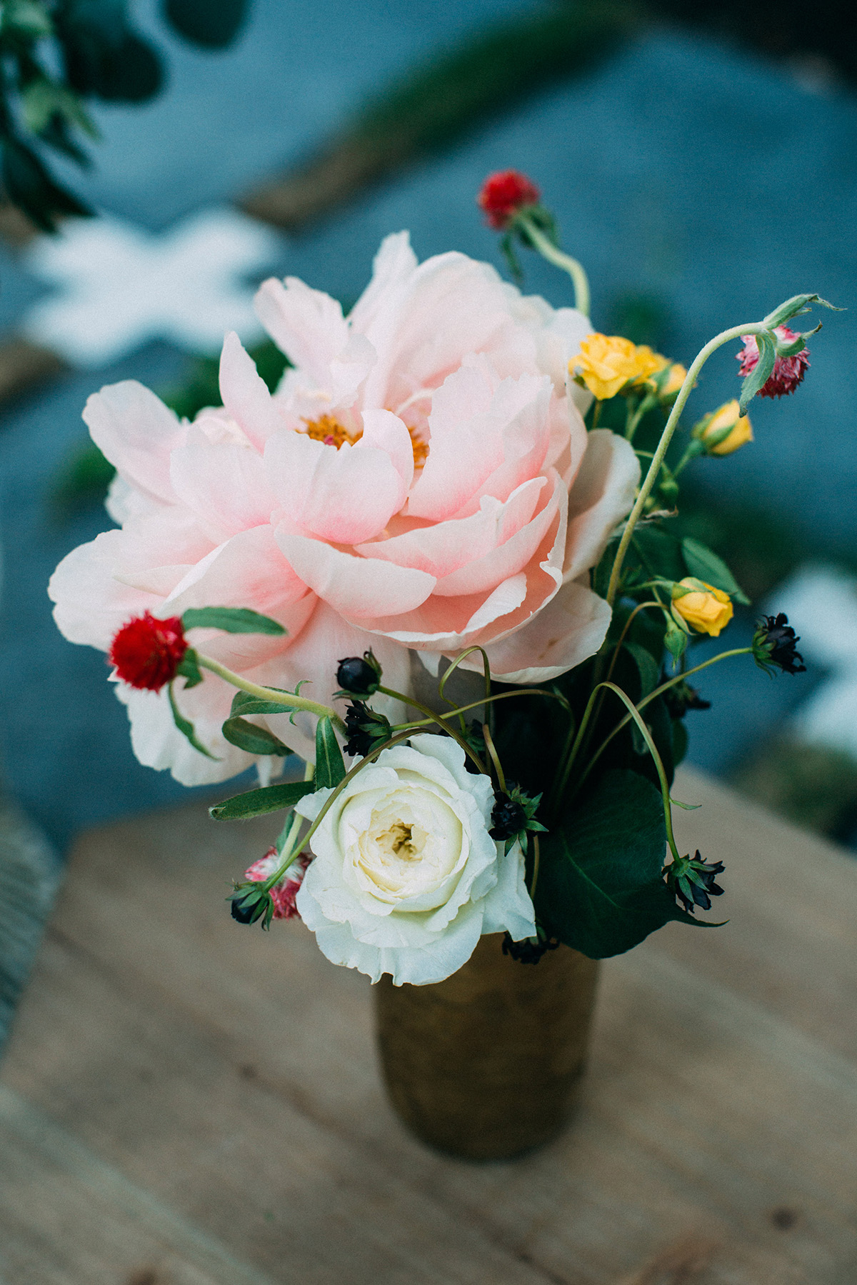 vintagetealandgoldshoot-7 Social House