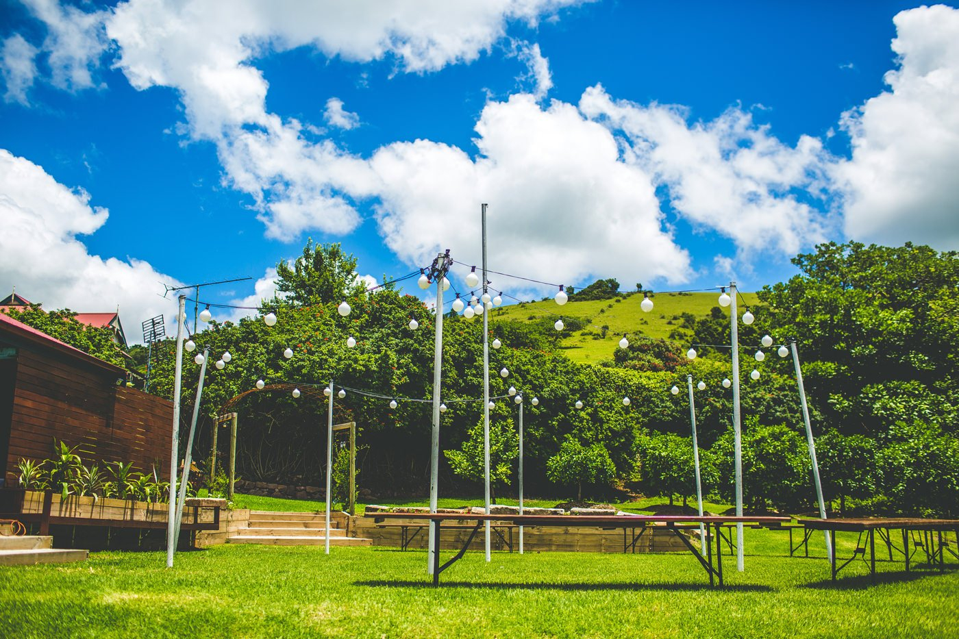 bush-bank-weddings-11 Bush Bank Weddings