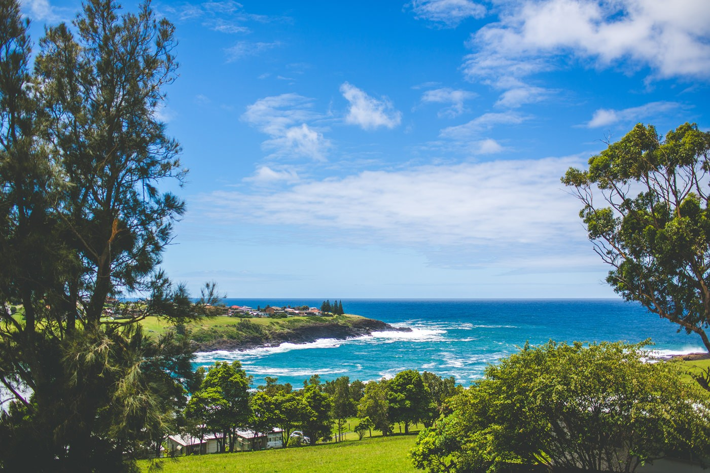 bush-bank-weddings-19 Bush Bank Weddings