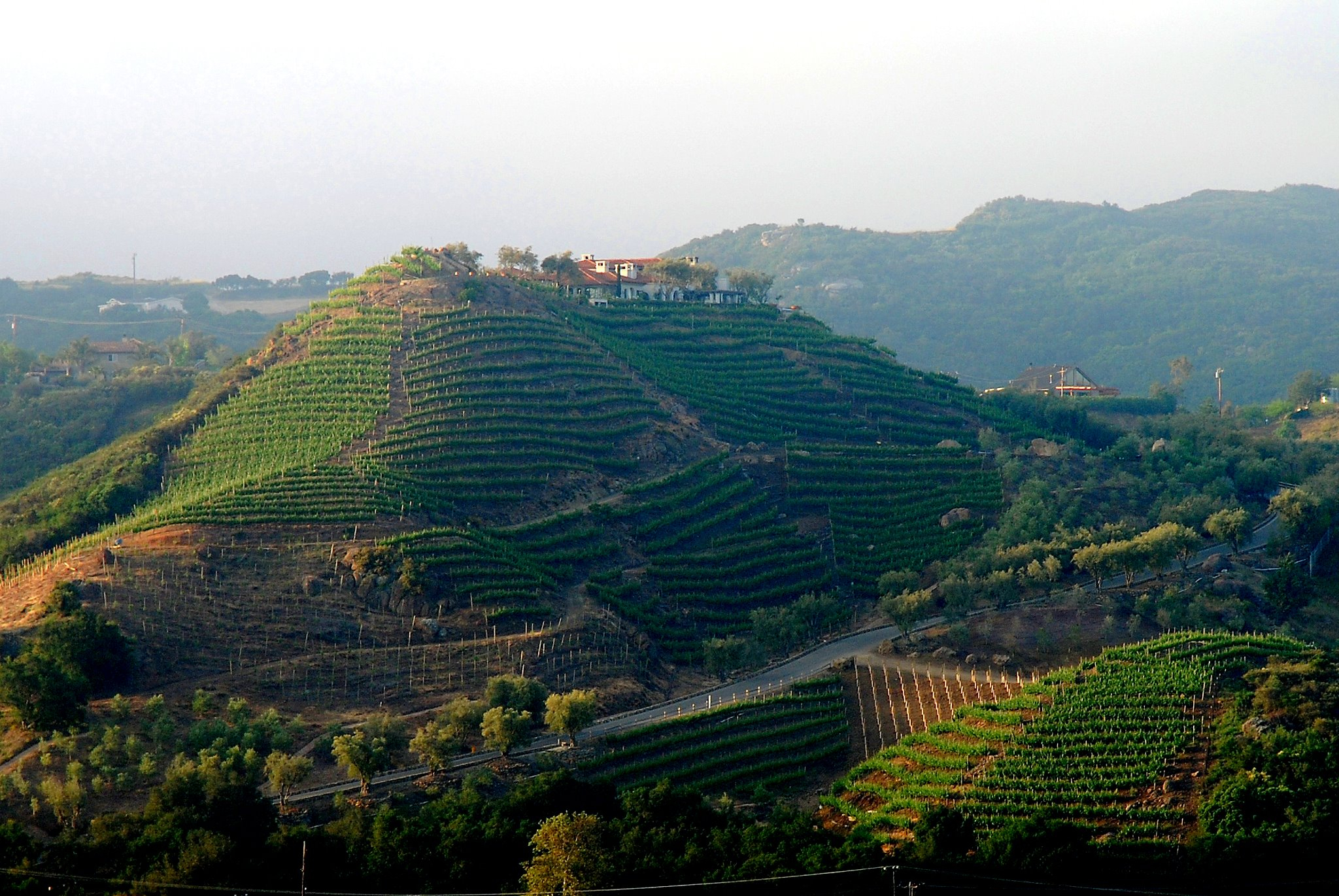 cielo-farms-2 Cielo Farms