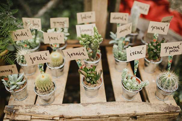 l'Avellana Mas d'en Cabré