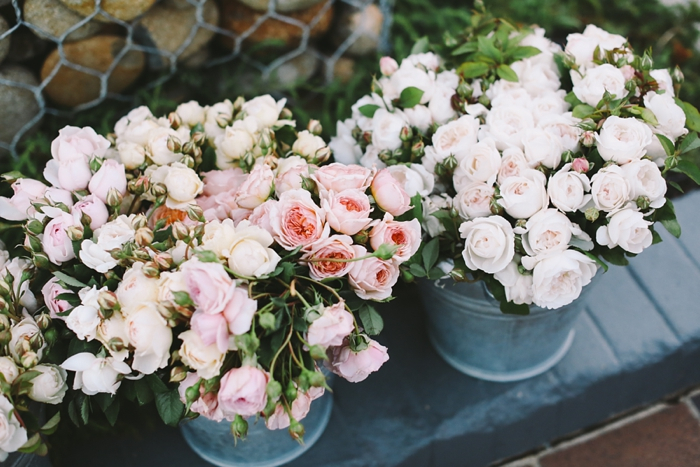 Moby Dicks Whale Beach