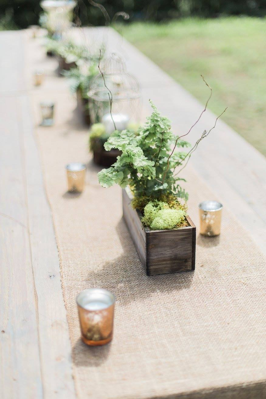 mountain-laurel-farm-12 Mountain Laurel Farm