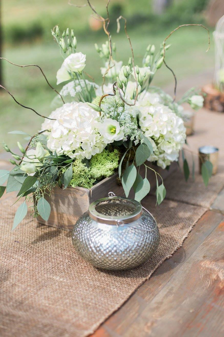 mountain-laurel-farm-14 Mountain Laurel Farm