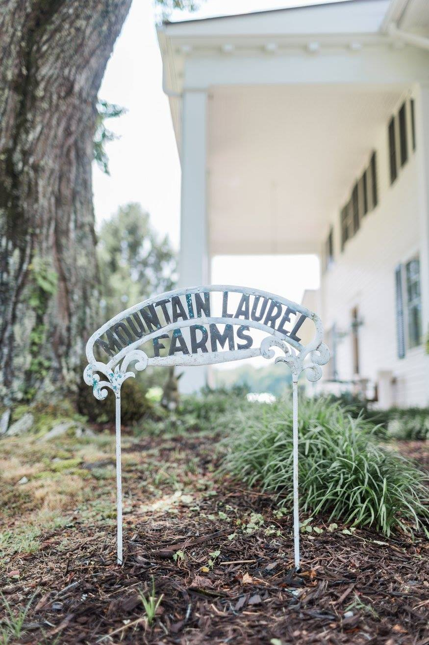 mountain-laurel-farm-8 Mountain Laurel Farm