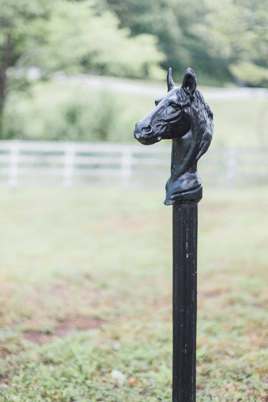 mountain-laurel-farm-9 Mountain Laurel Farm