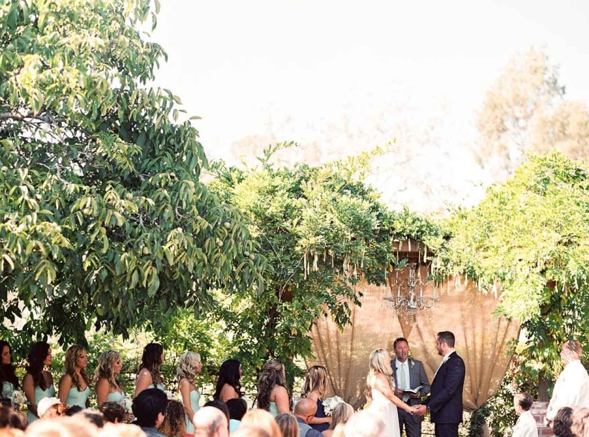 the-gardens-at-peacock-farms-23 The Gardens at Peacock Farms