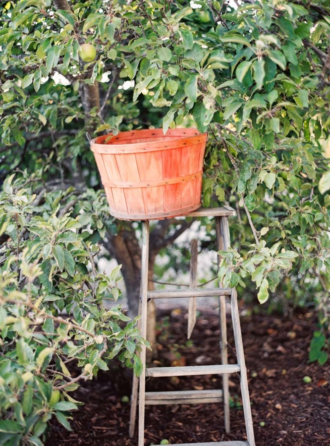 the-gardens-at-peacock-farms-8 The Gardens at Peacock Farms