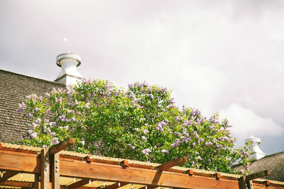 the-loft-at-russell-s-10 The Loft at Russell's