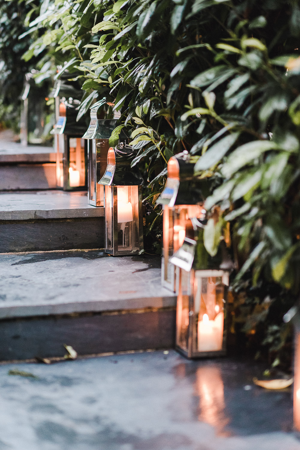 EVER-AFTER-DARTMOOR-3 Ever After