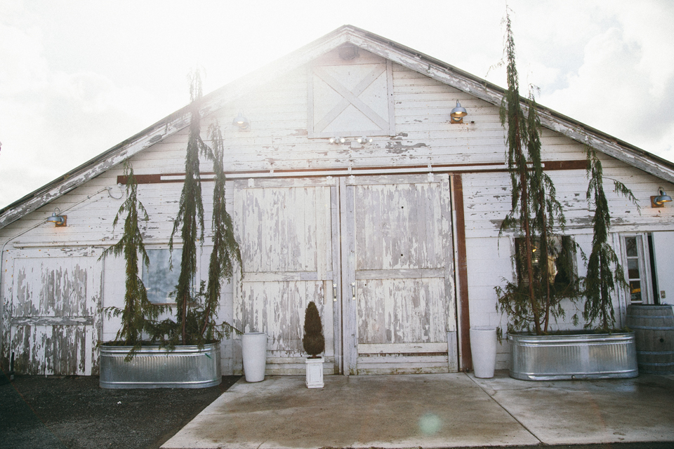 Untitled-4 Dairyland