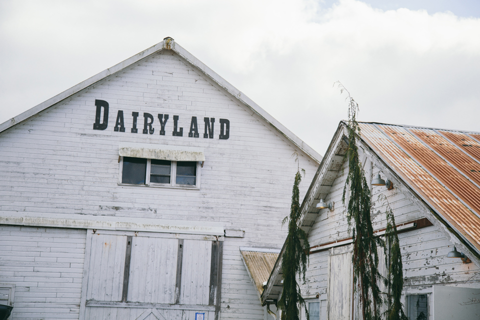 Untitled-5 Dairyland