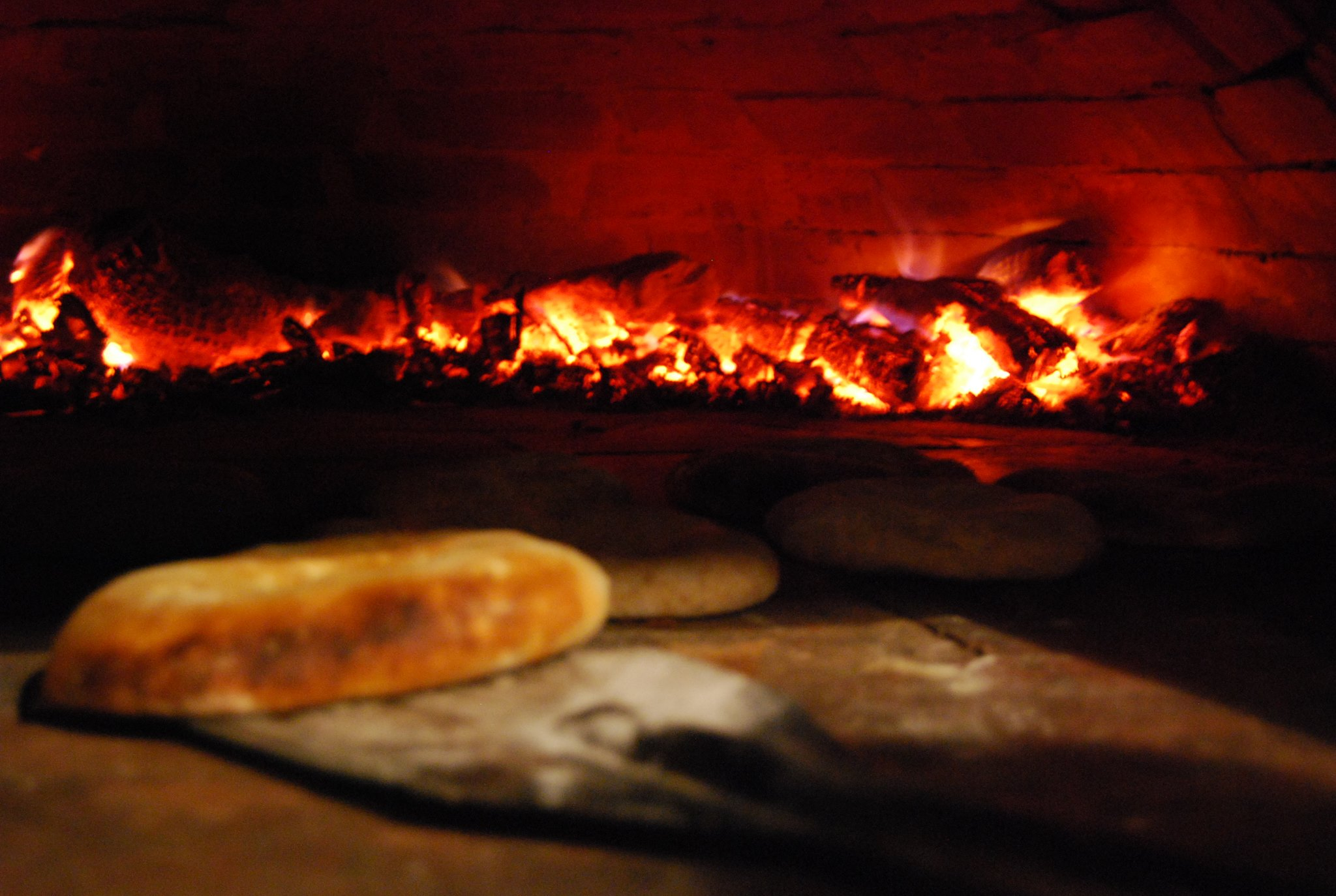 cantina-lx-4 Cantina LX