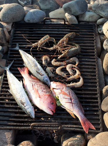 saladita-ss-3 Casa Creando Olas