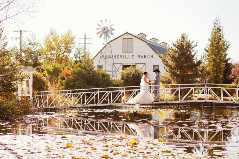 springville-ranch-4 Springville Ranch