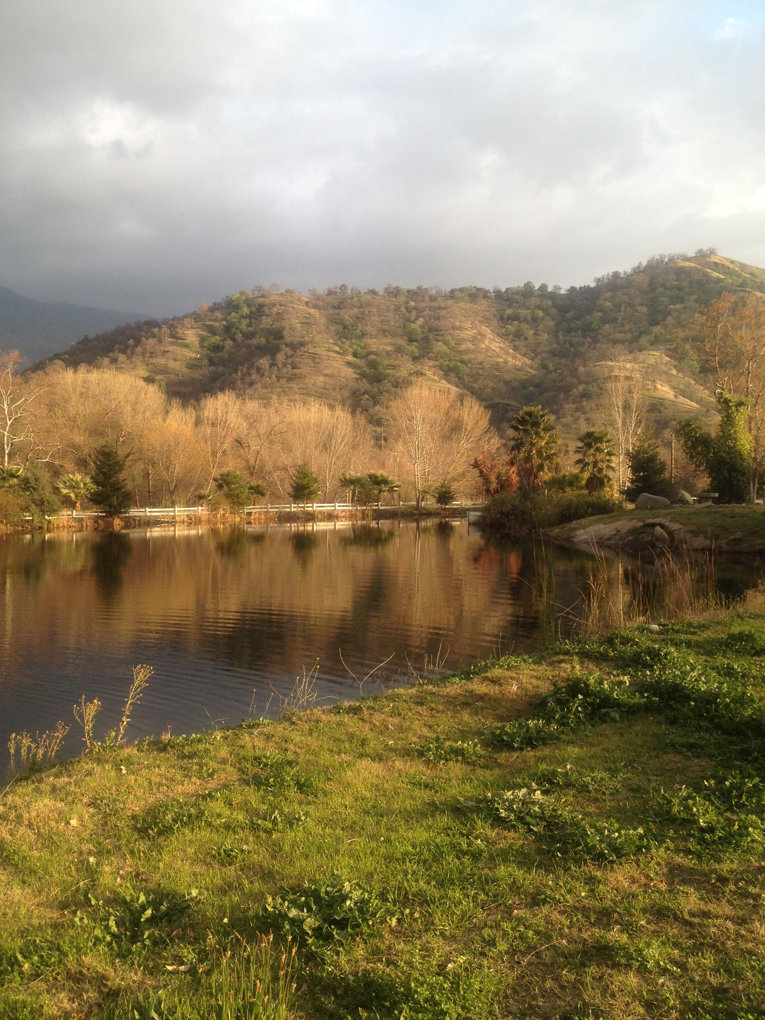 springville-ranch-7 Springville Ranch