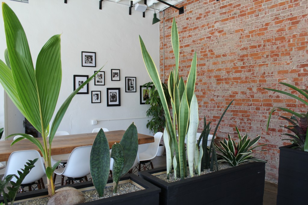 the-station-1 The Station