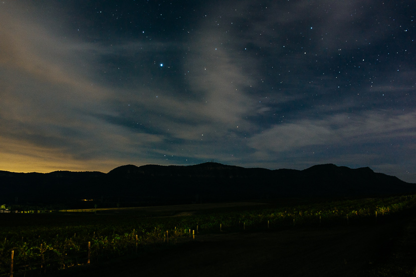 Ben_Howland_Hunter_Valley_Wedding_ErinRowan_017 Estate Tuscany