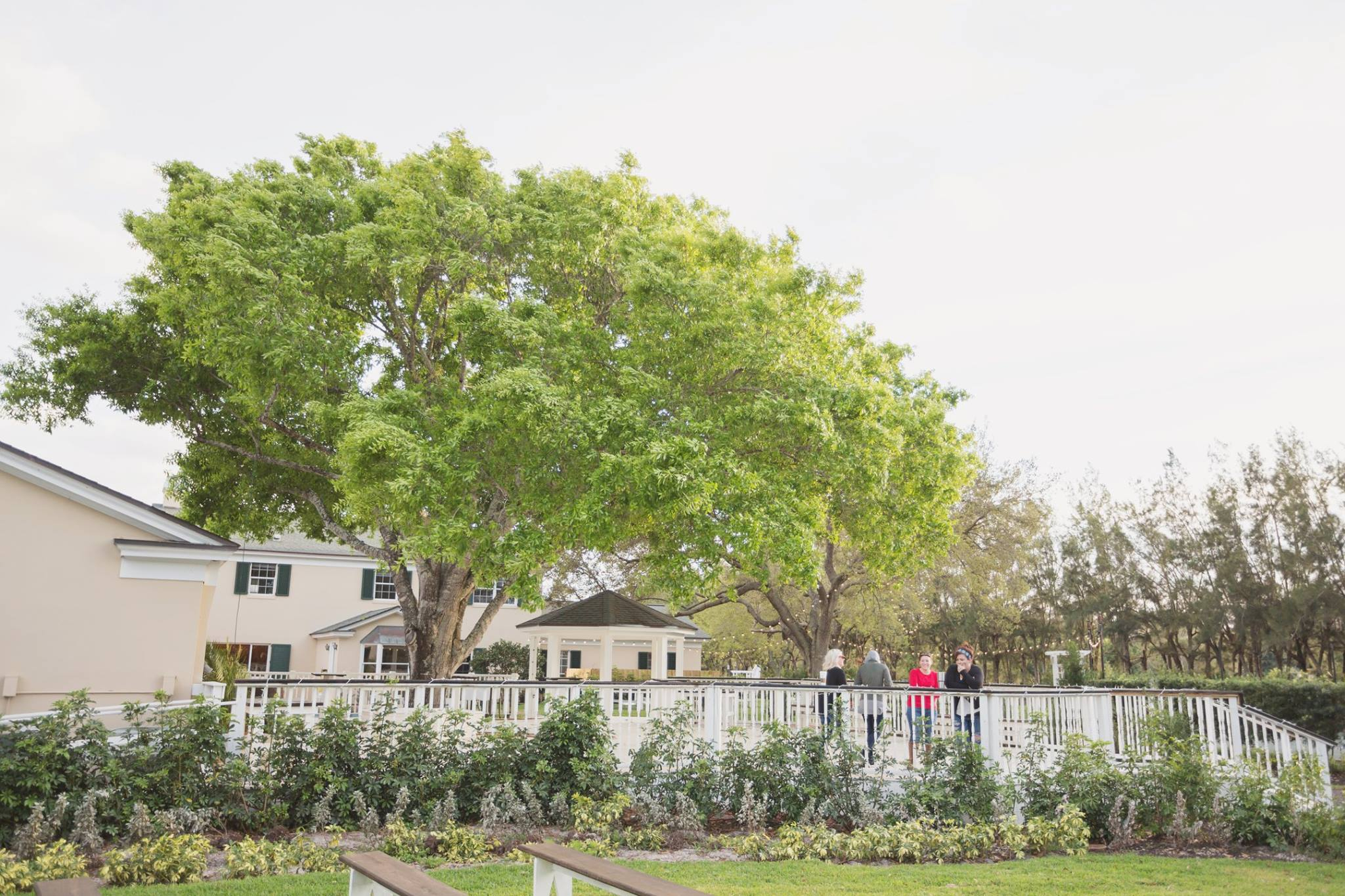 Bellewood Plantation