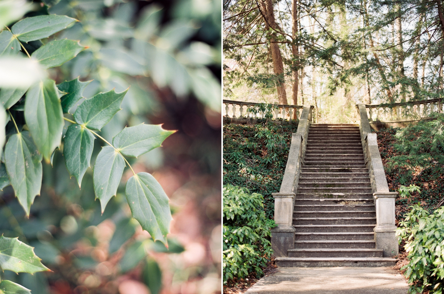 cator-woolford-gardens-19 Cator Woolford Gardens