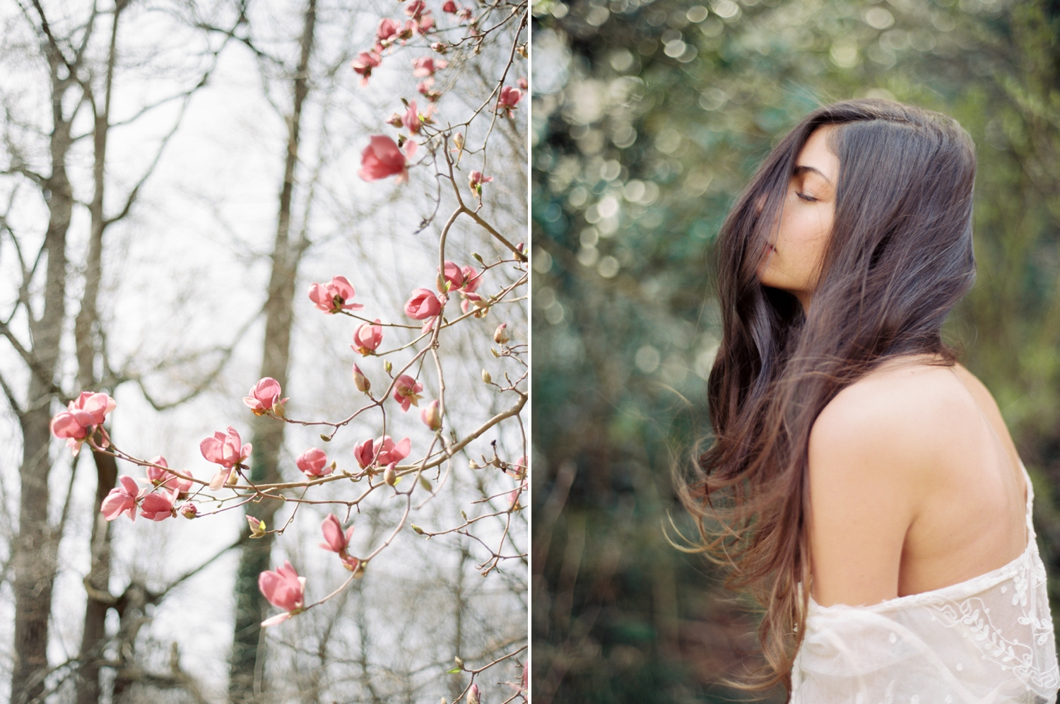 cator-woolford-gardens-21 Cator Woolford Gardens