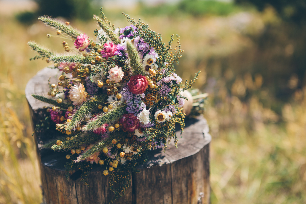 silverthorne-pavilion-8-khIflT Silverthorne Pavilion