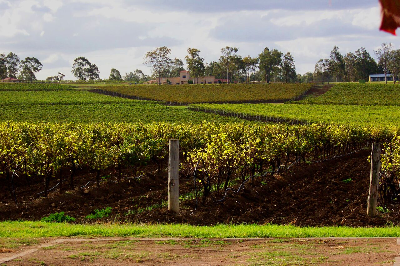 unspecified-1-rJKFOJ Estate Tuscany