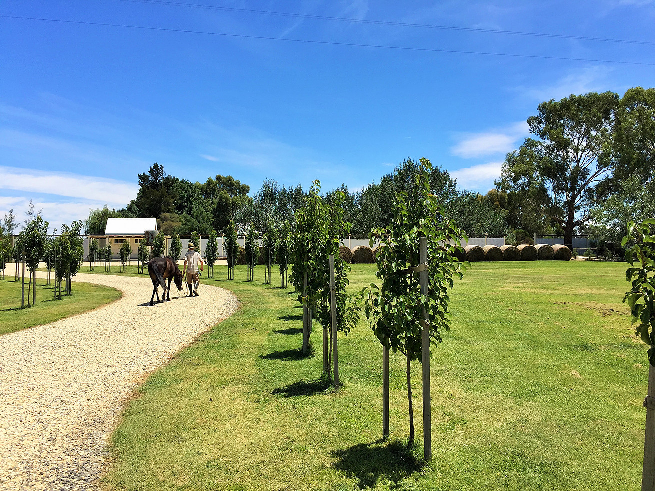 byrchendale-7 Byrchendale