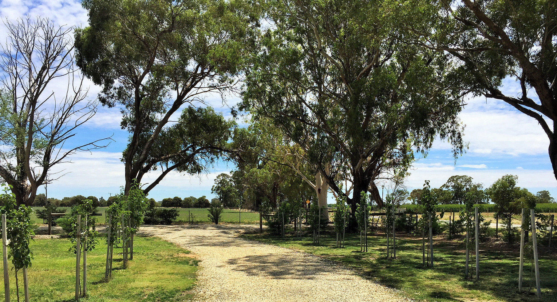 byrchendale-8 Byrchendale