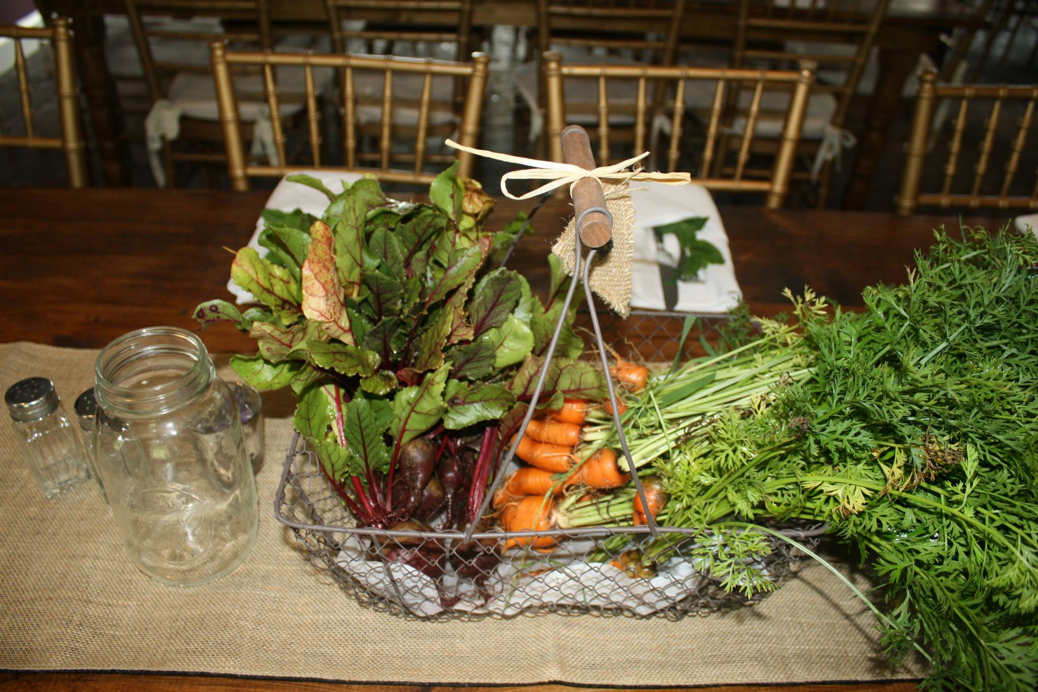 nostrano-vineyards-10 Nostrano Vineyards