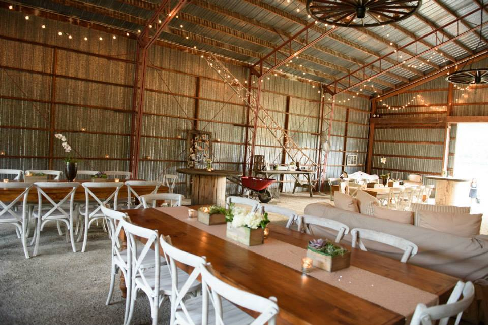 nostrano-vineyards-1t6 Nostrano Vineyards