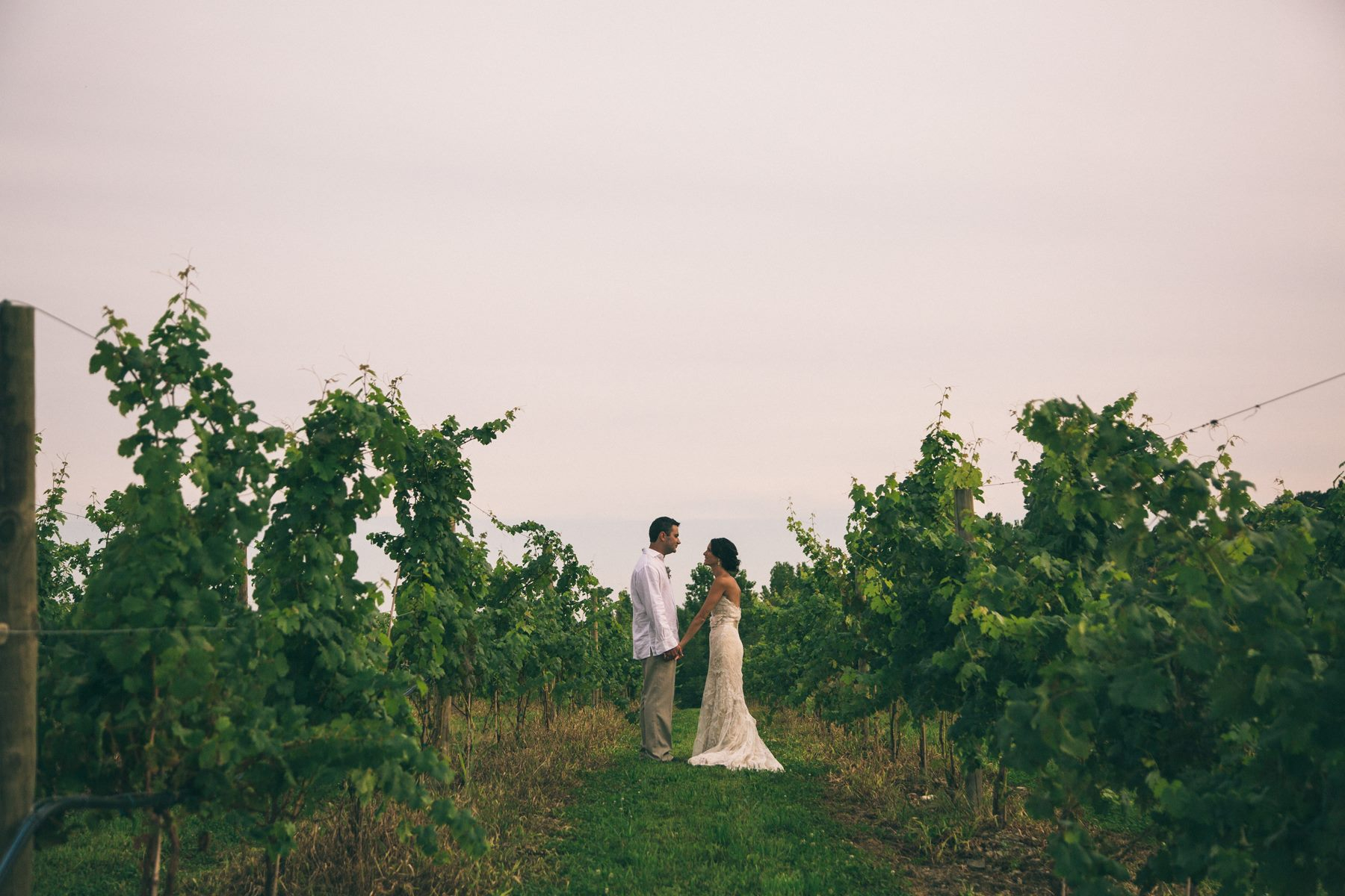 nostrano-vineyards-5-Afmy5t Nostrano Vineyards