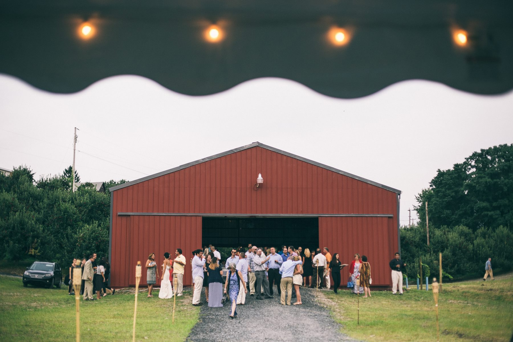 nostrano-vineyards-8 Nostrano Vineyards