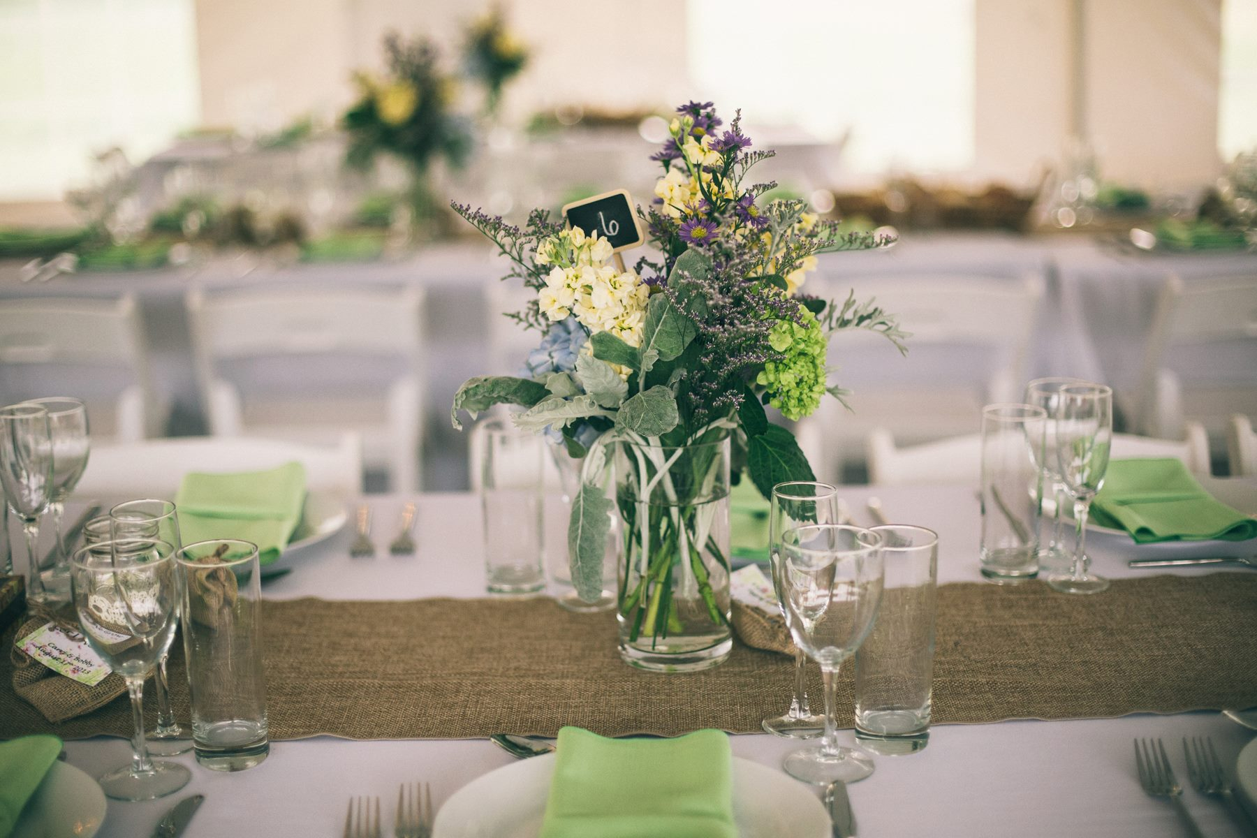 nostrano-vineyards-9 Nostrano Vineyards