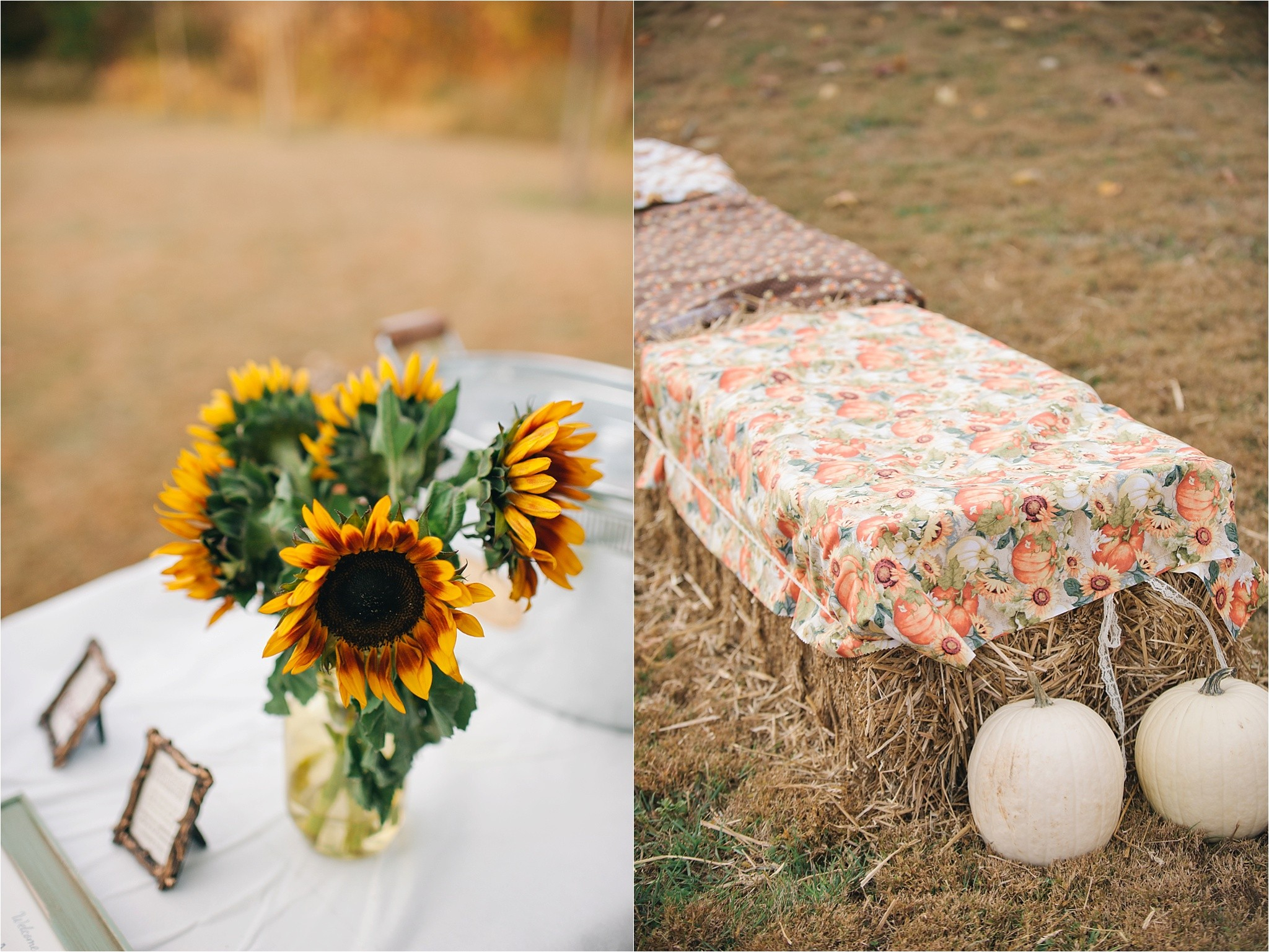 the-glasgow-farm-4 The Glasgow Farm