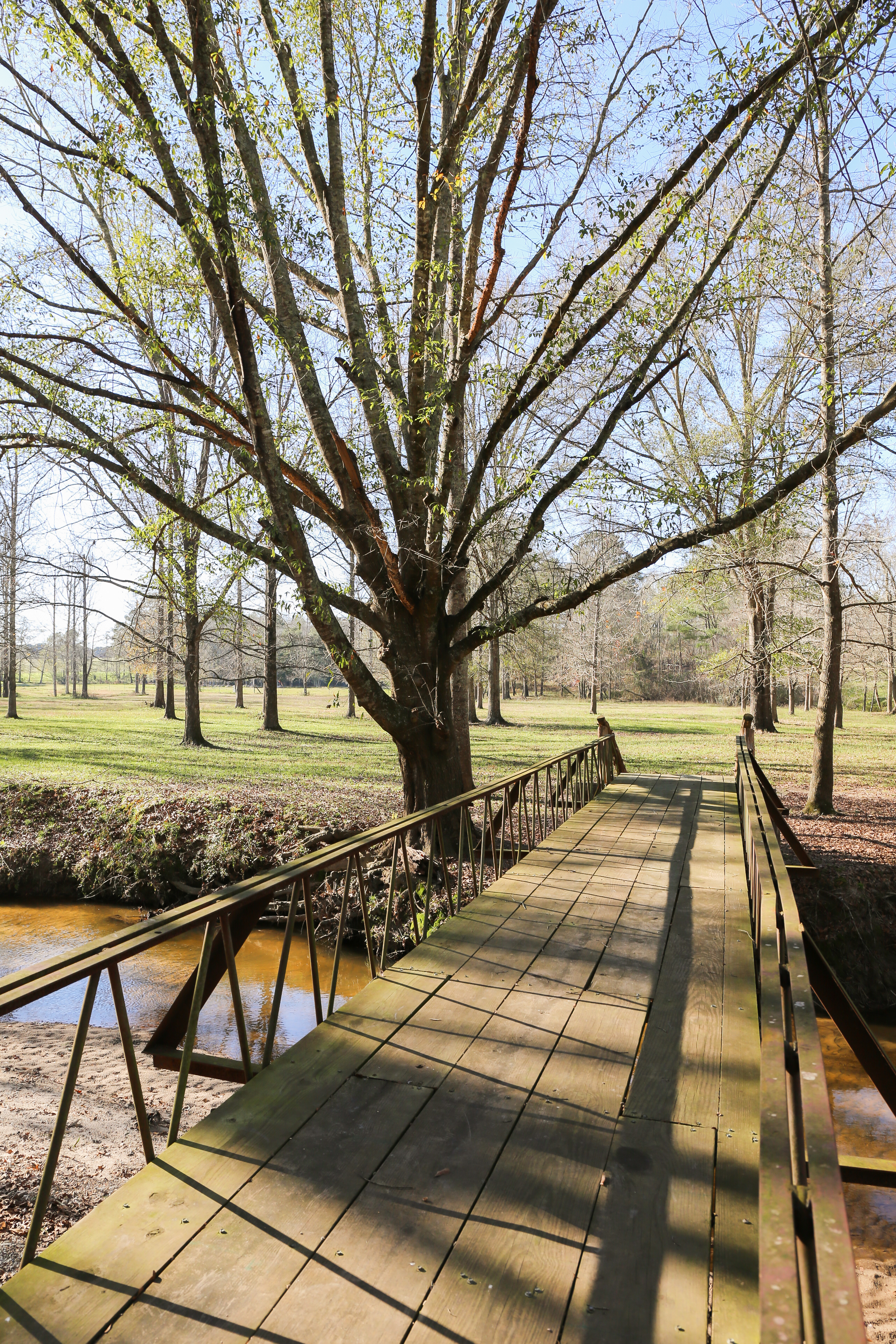 the-hideaway-at-reeds-estate-5 The Hideaway at Reeds Estate