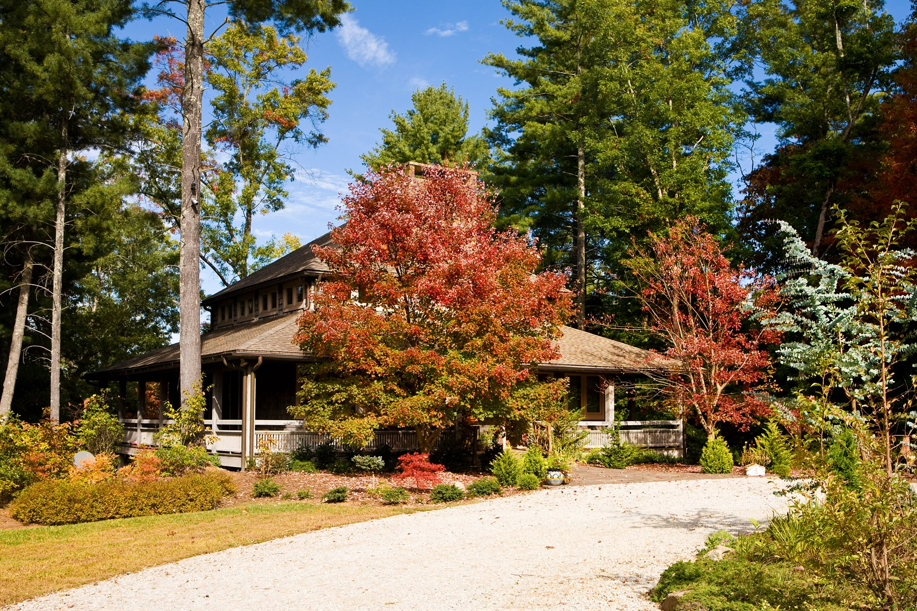 Splendor-Mountain-30 Splendor Mountain