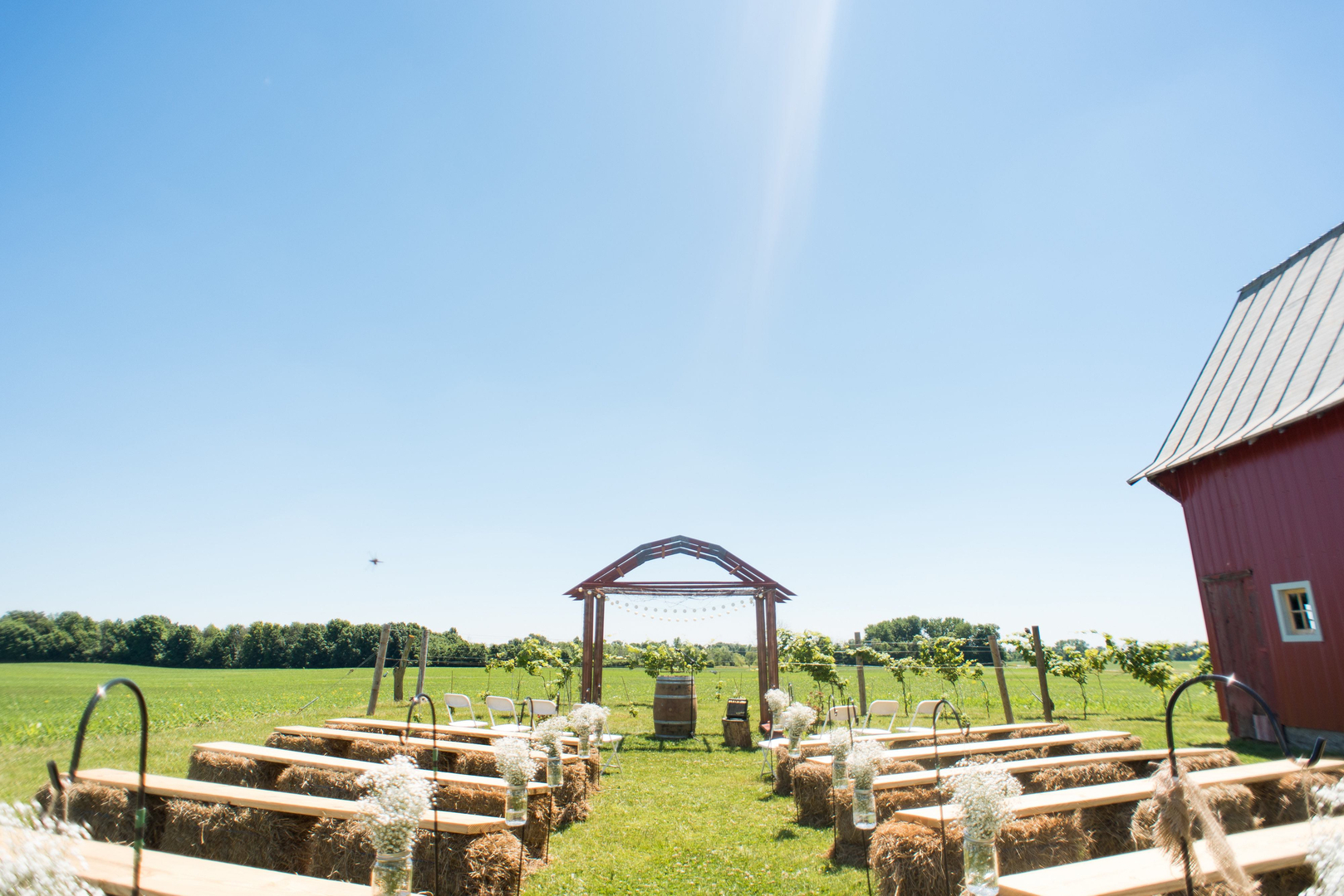 Vineyard-Porter-Central-10 Vineyard at Porter Central