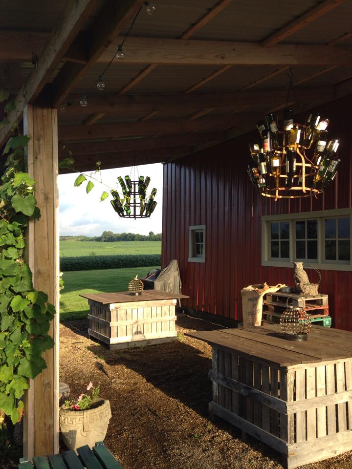 Vineyard-Porter-Central-3 Vineyard at Porter Central