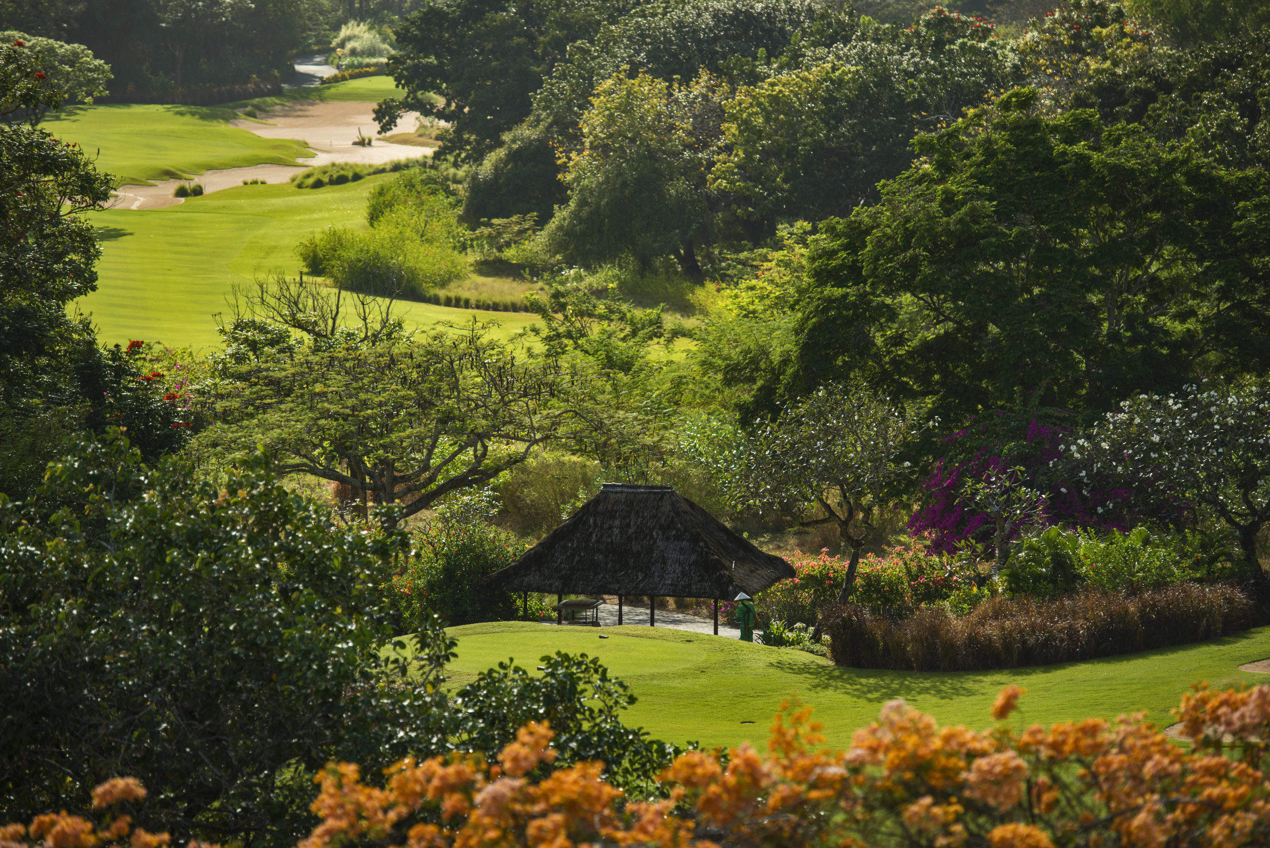 Golf course tee _High Res_3588 Amanusa