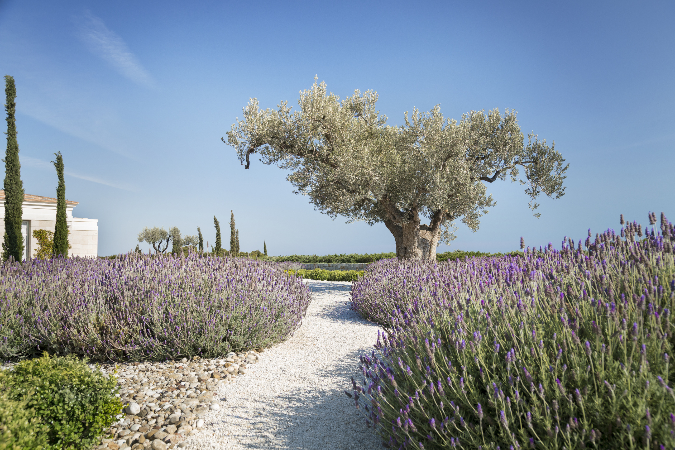 Landscaping _High Res_6663 Amanzoe