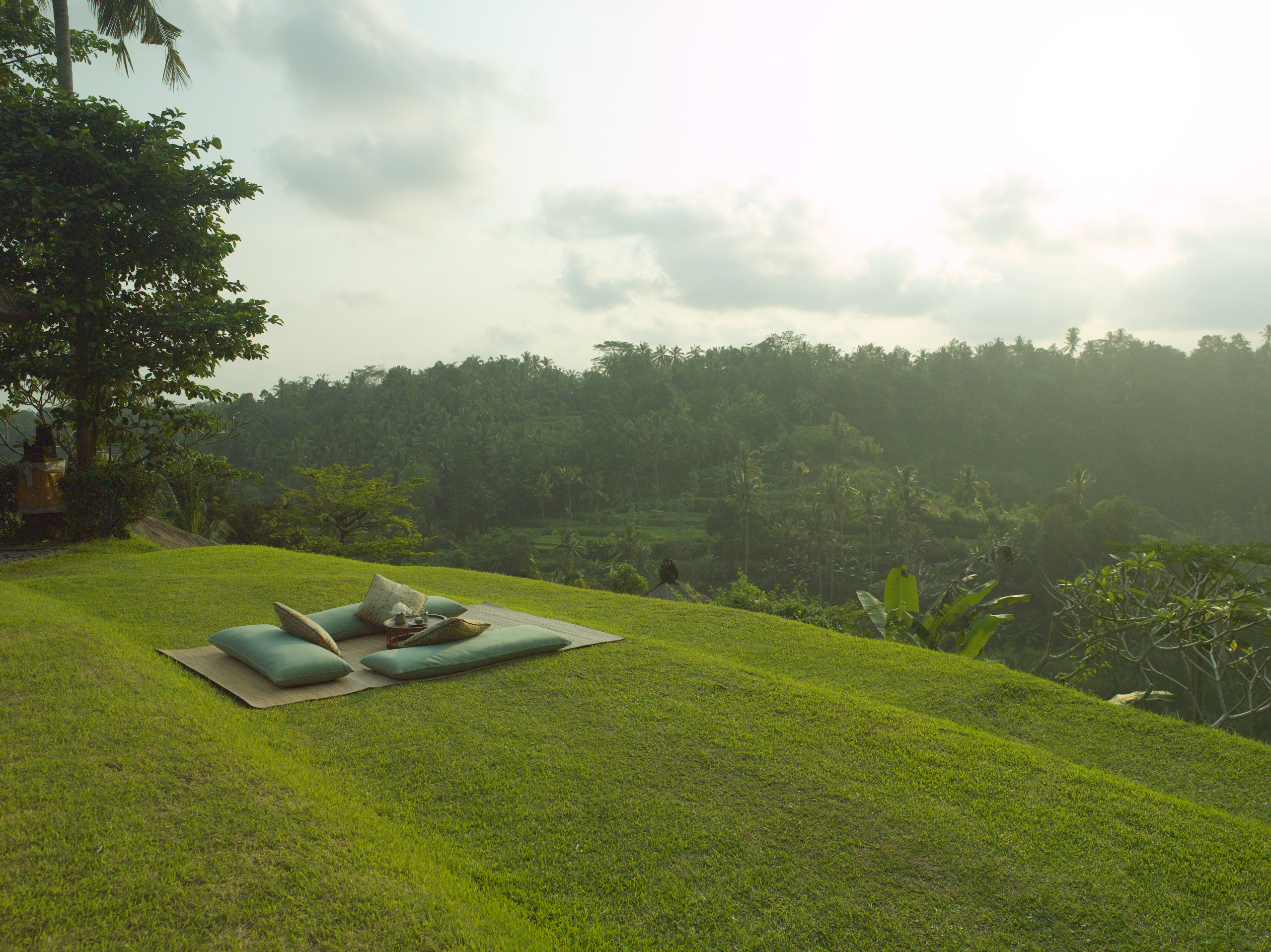 Picnic_High Res_6585 Amandari Hotel