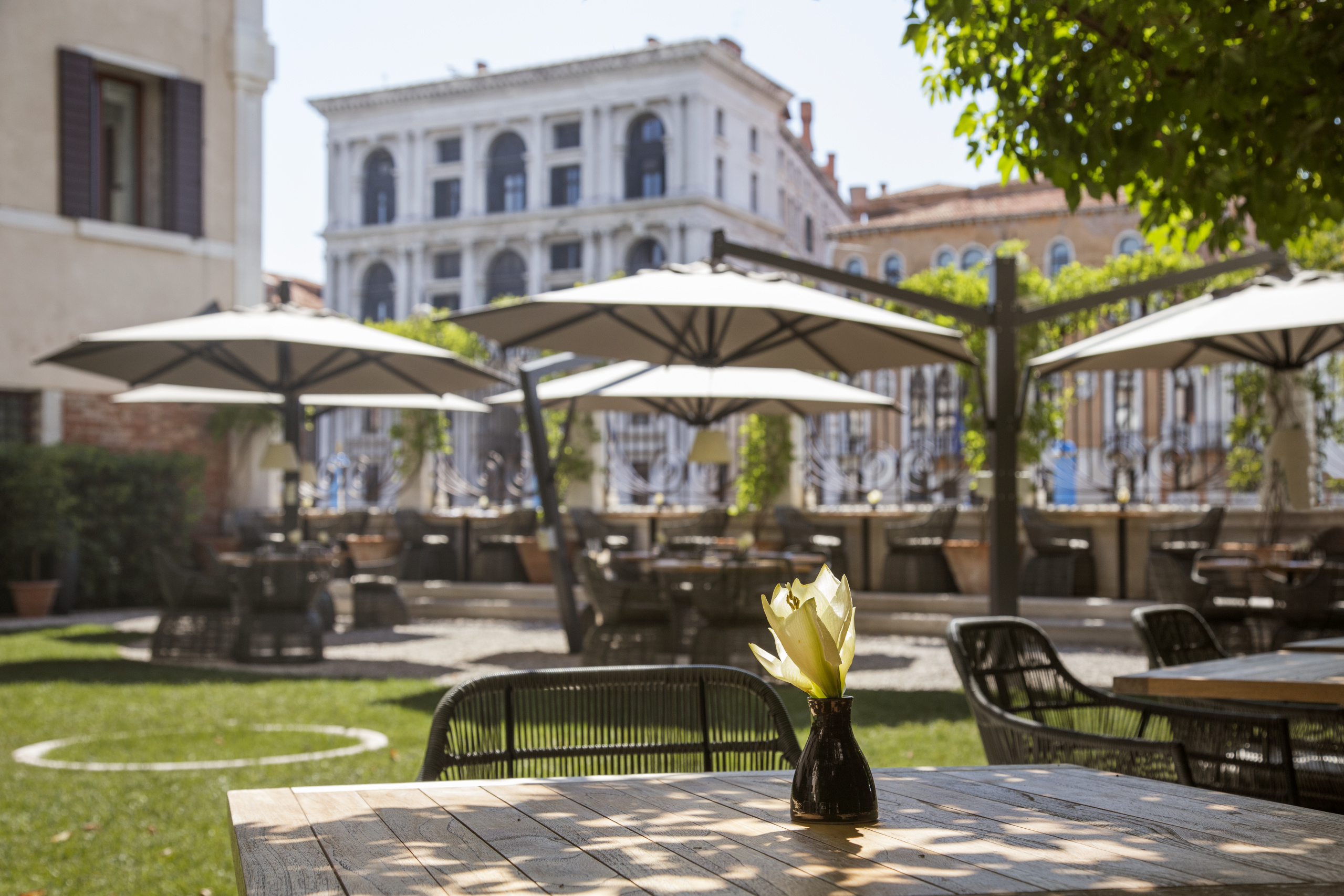 Rear garden and views of Grand Canal_High Res_678 Aman Venice Hotel