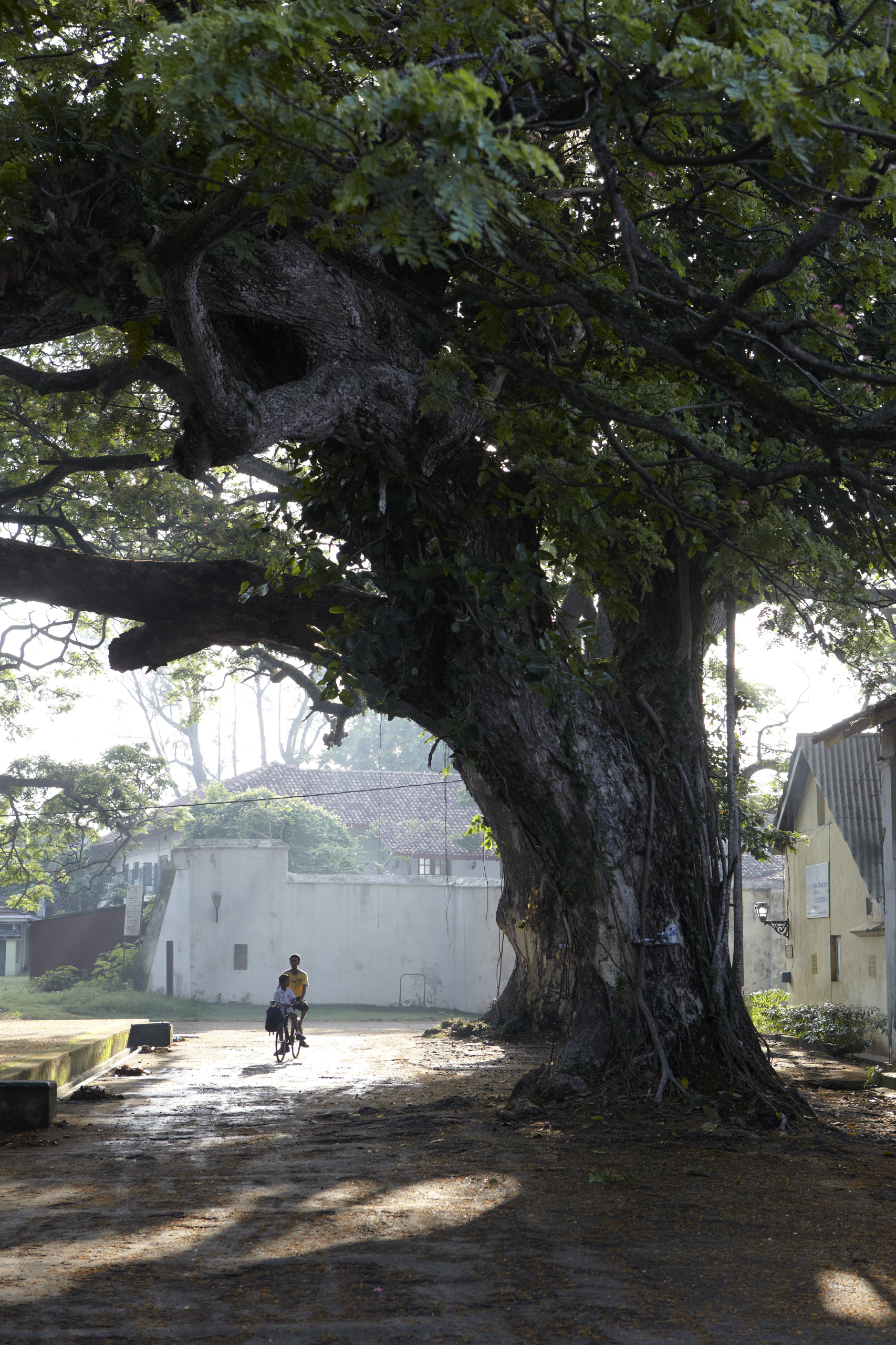 Town of Galle_High Res_4441 Amangalla