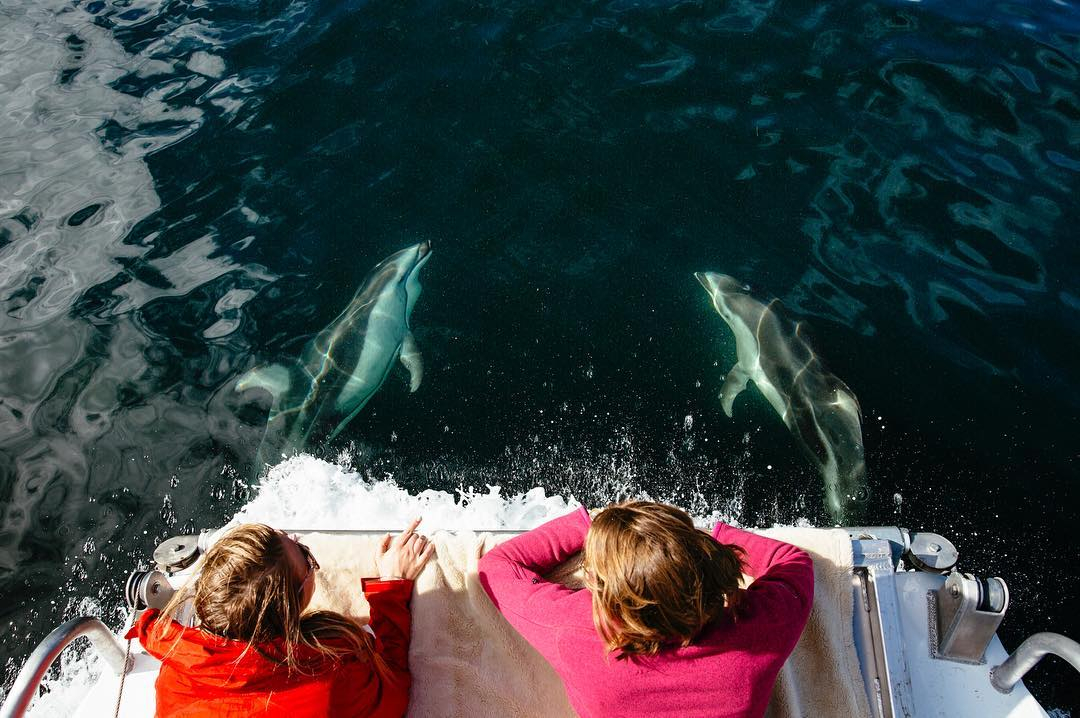 TheVenueReport-NimmoBayWildernessResort-JeremyKoreski-022 Nimmo Bay Wilderness Resort