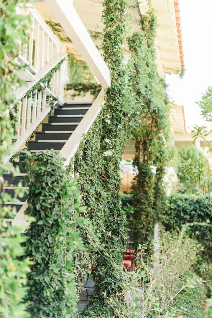 palm-spring-engagement-session-Colony-Palm-Palm-Springs-Joshua-Tree-Engagment-session-Sanaz-Photography-Palm-Springs-wedding-photographer-47-683x1024 The Colony Palms Hotel and Bungalows