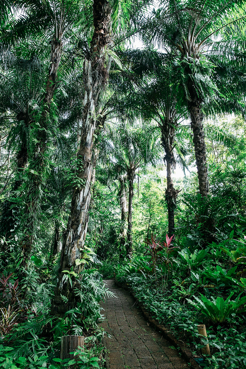 TheVenueReport-SixSensesYaoNoi-RhiannonTaylor-12 Six Senses Yao Noi