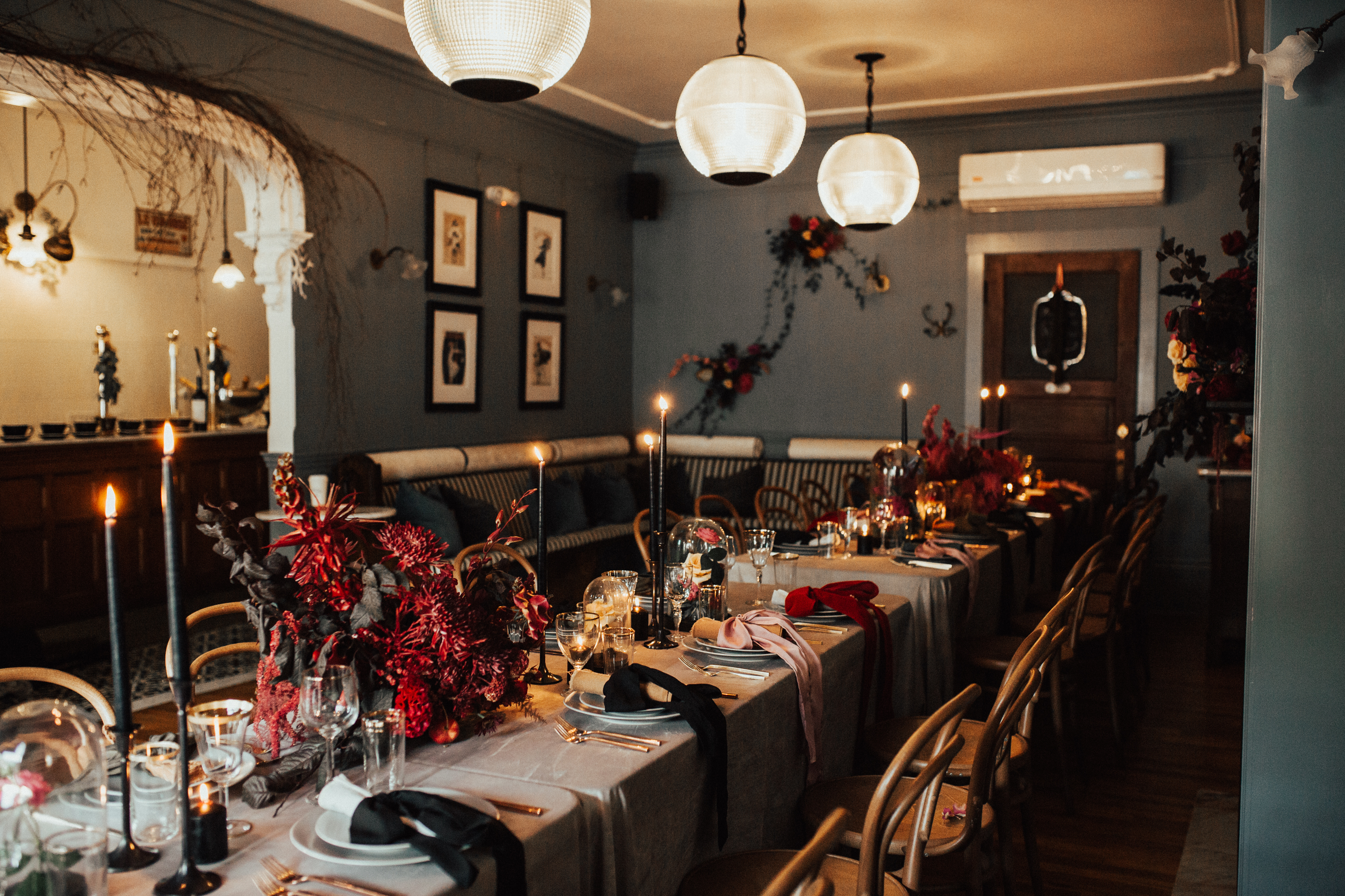 Minou - Brogen Jessup 4 Minou